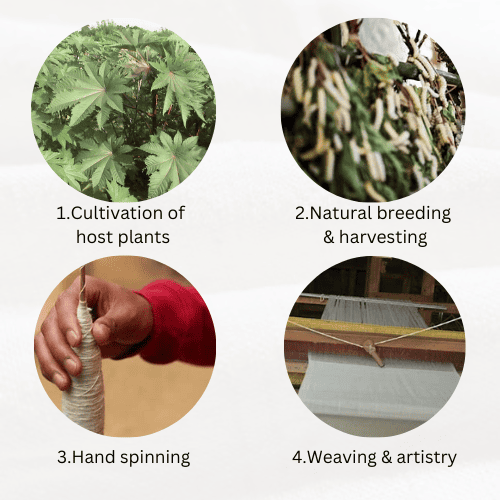 Production Process of Eri Silk