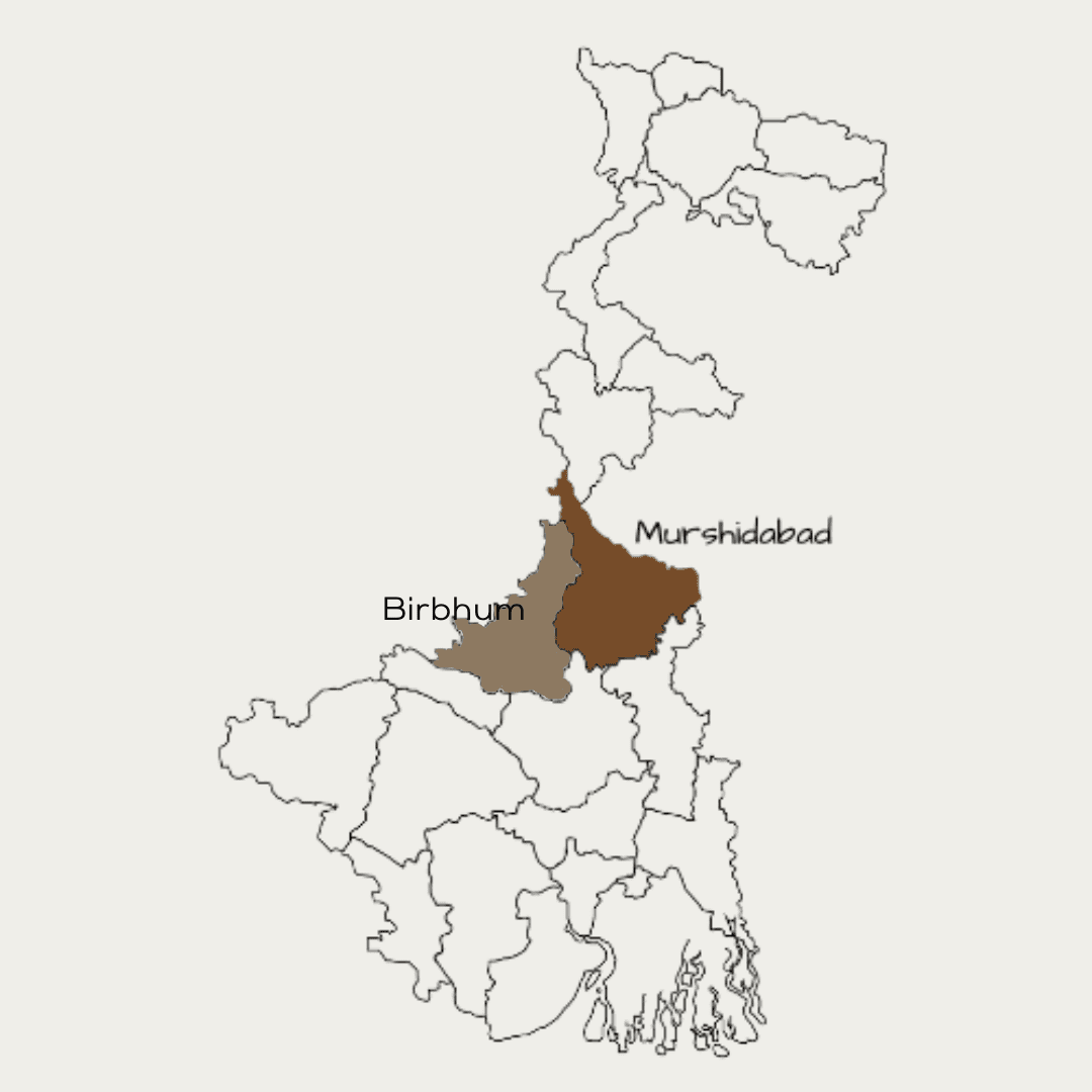 Mulberry Silk Murshidabad - Birbhum Cluster