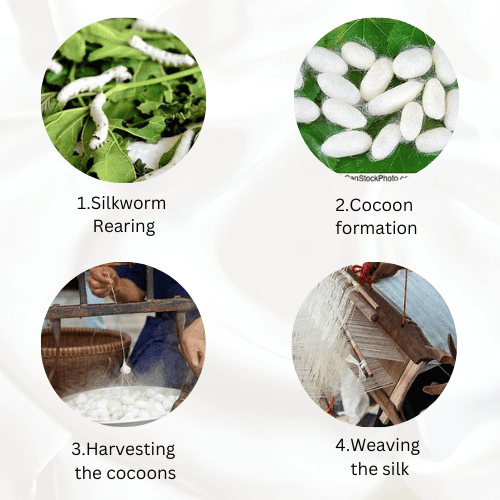 Process for Sericulture
