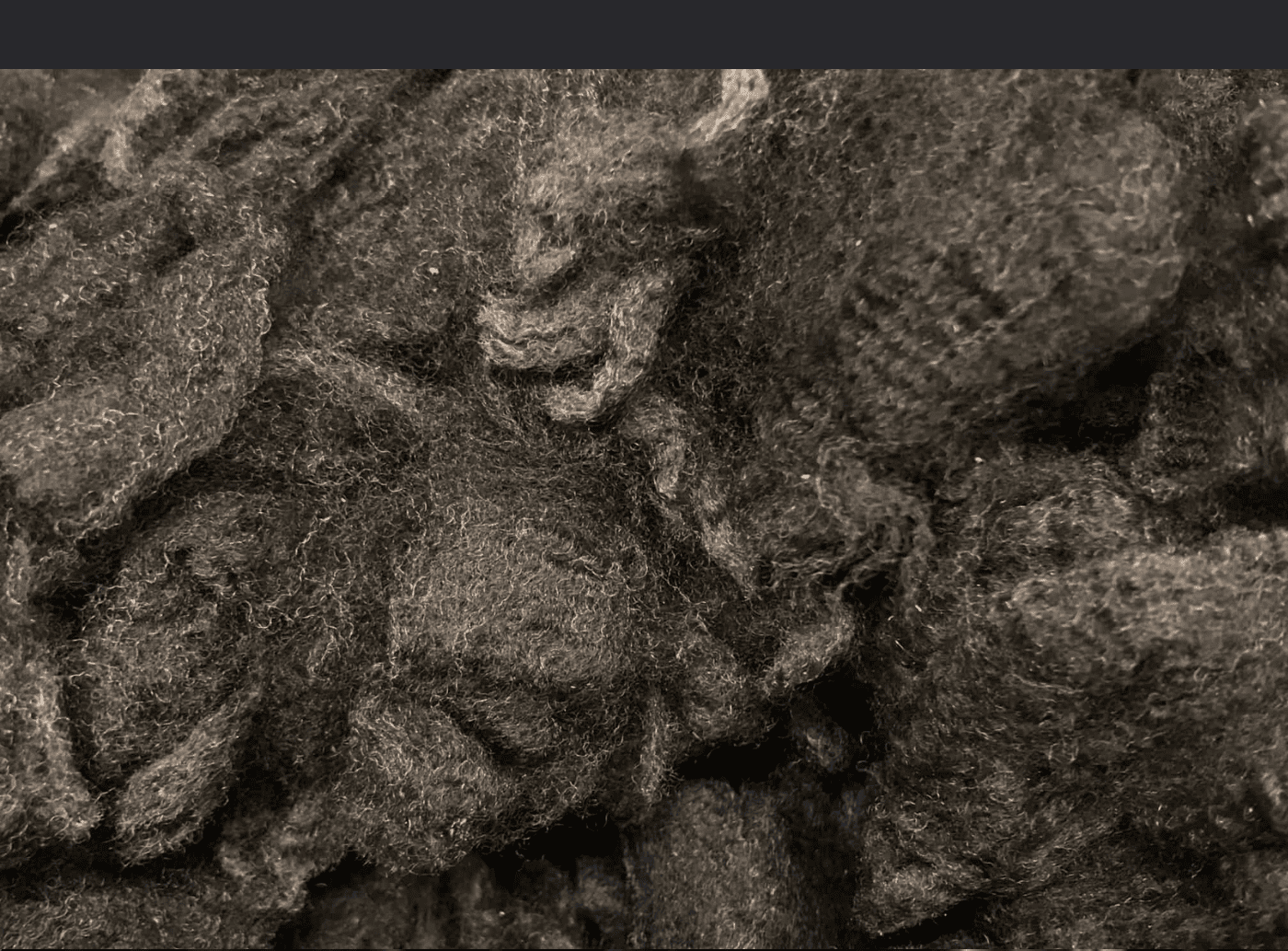 Raw Wool
