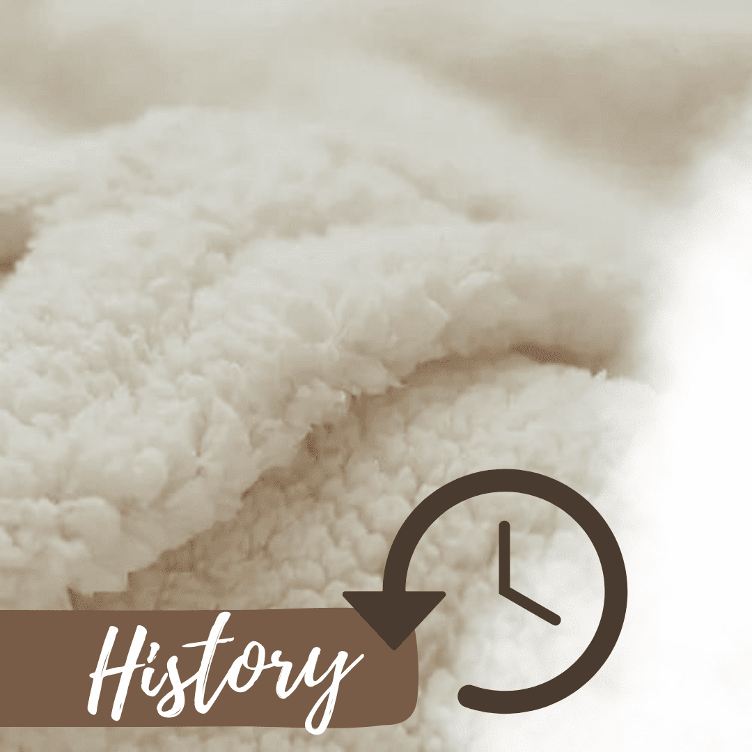 Fleece Fabric History