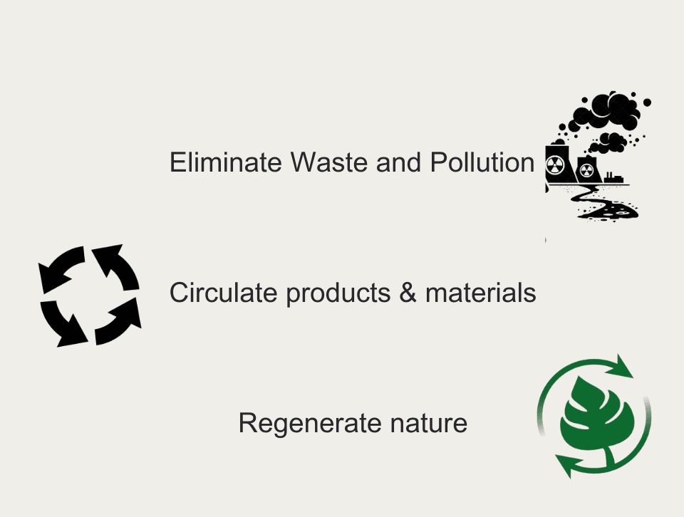 Processes of Circular Economy