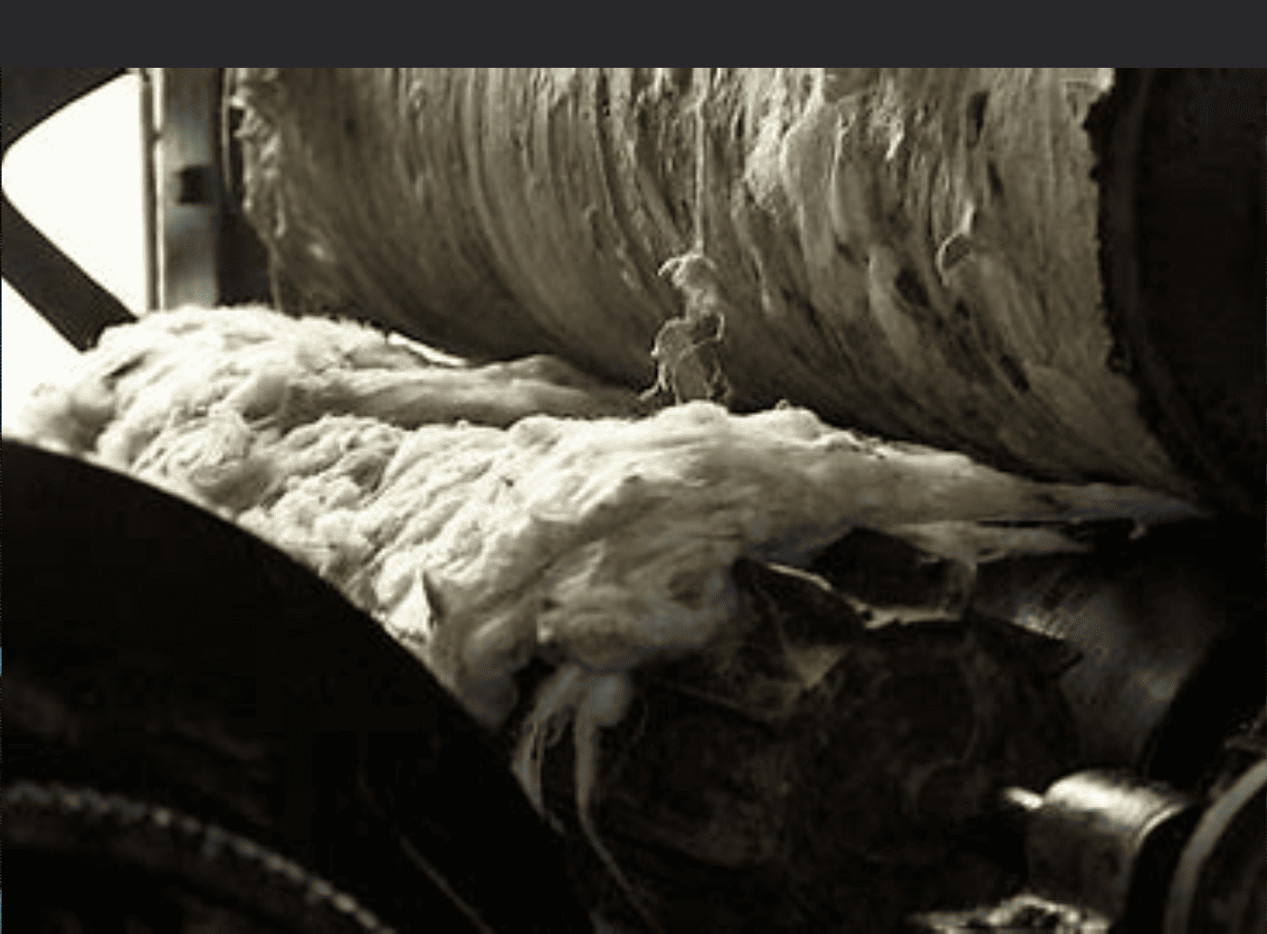 Scouring Process of Wool