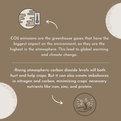 Issue of Carbon Emission